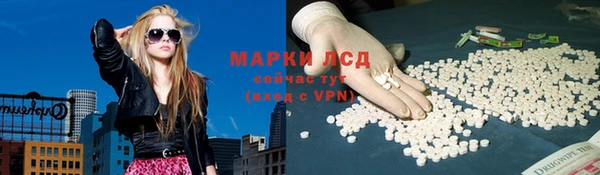 дмт Каменногорск