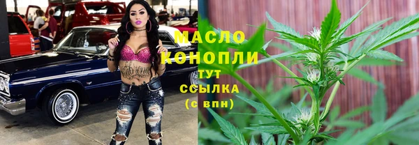 дмт Каменногорск