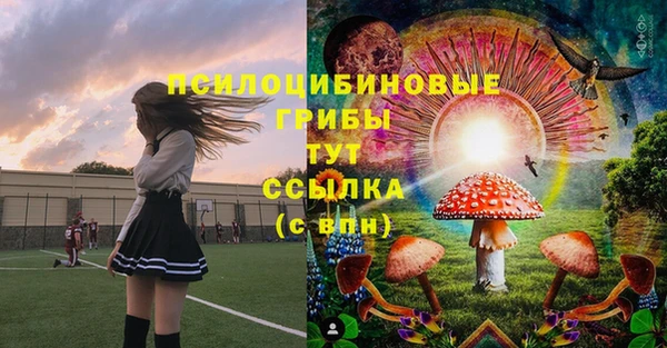 дмт Каменногорск