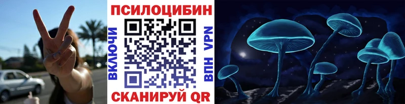 Купить закладки Карачаевск Псилоцибиновые грибы Psilocybe