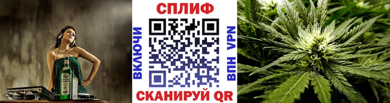 Купить  Карачаевск  Шишки марихуана сатива 